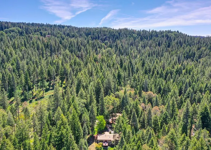 Lux, Designer 8-Acre Retreat With Private Creek